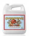 Advanced Nutrients Overdrive 5L